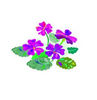 Plant Sale icon-Rc.jpg